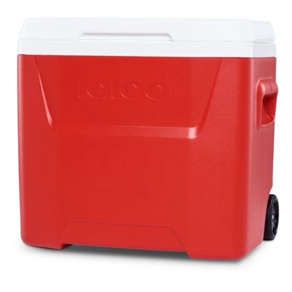 Small coolers 28 QT - Image 4