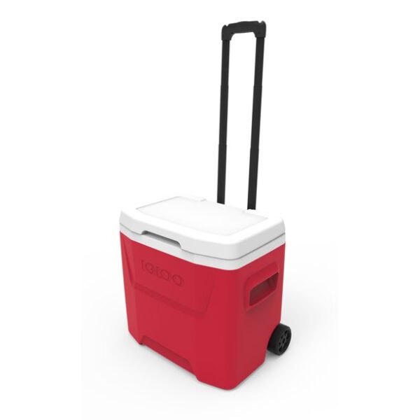 Small coolers 28 QT