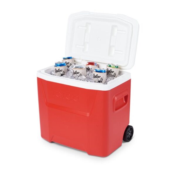 Small coolers 28 QT - Image 13
