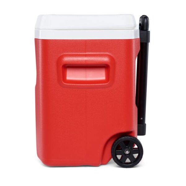Small coolers 28 QT - Image 15