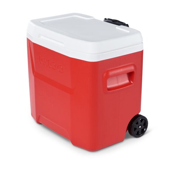 Small coolers 28 QT - Image 2