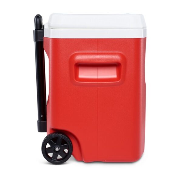 Small coolers 28 QT - Image 3