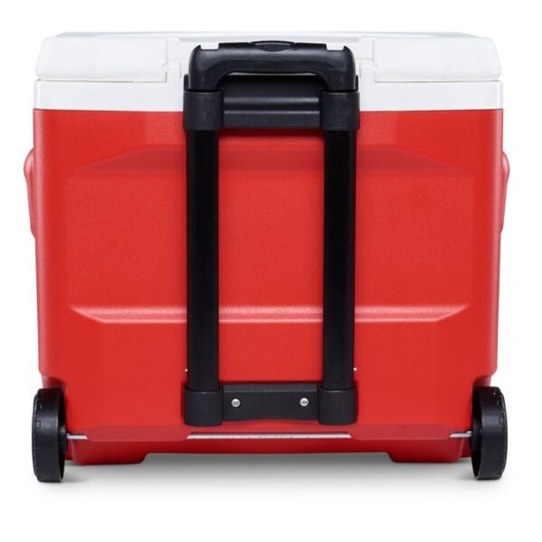 Small coolers 28 QT - Image 5