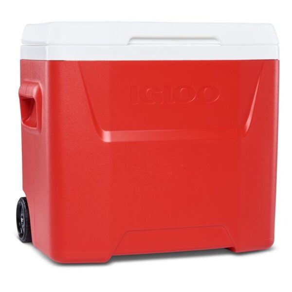 Small coolers 28 QT - Image 7