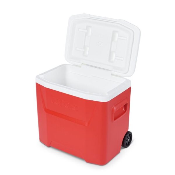 Small coolers 28 QT - Image 8